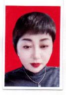 副秘书长范凤兰