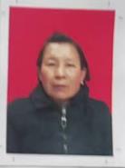 郸城伏羲文化协会副会长张稳